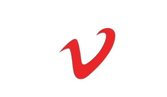 vairishinternational.in